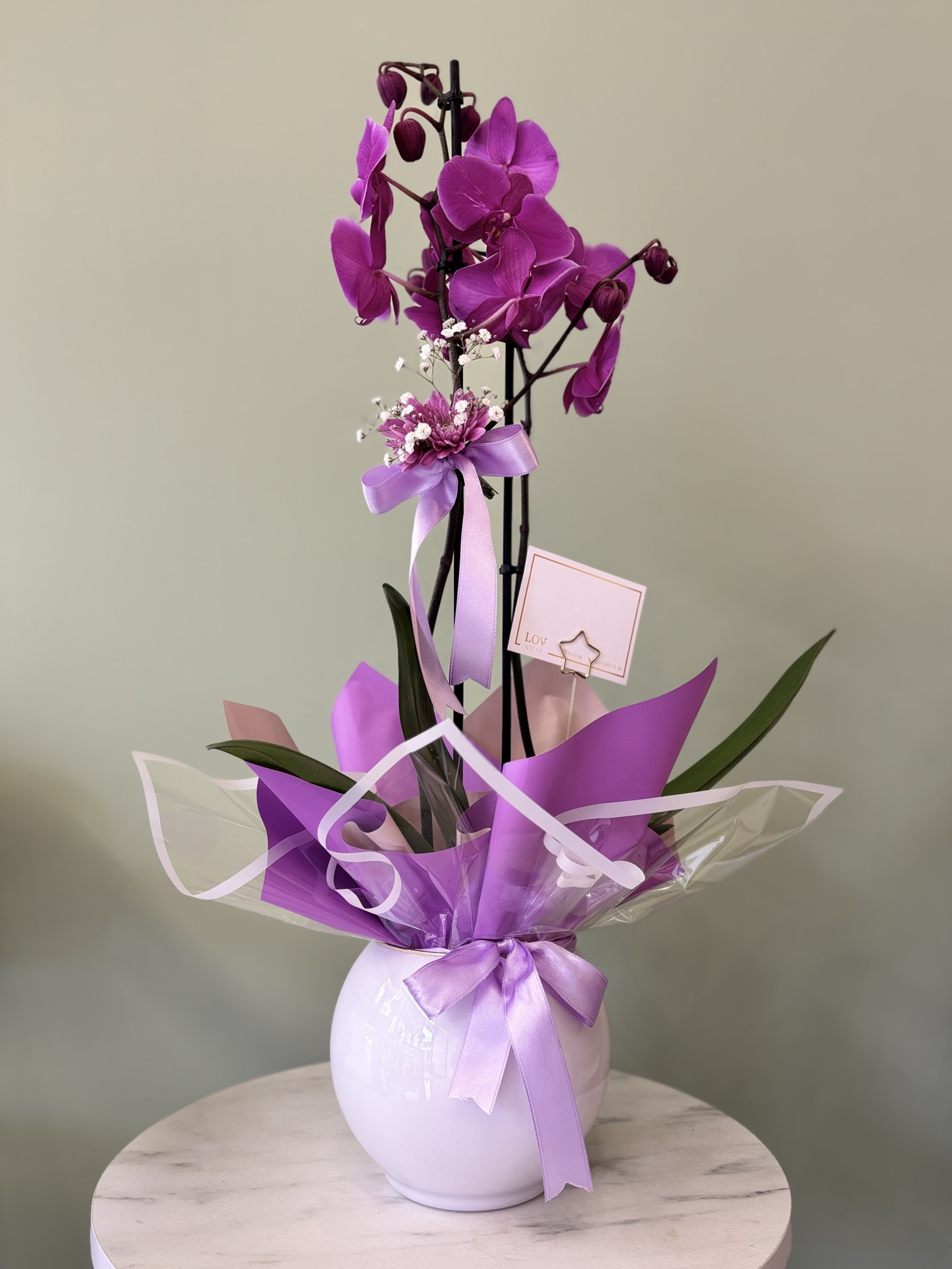 2 Dallı Pembe Orkide