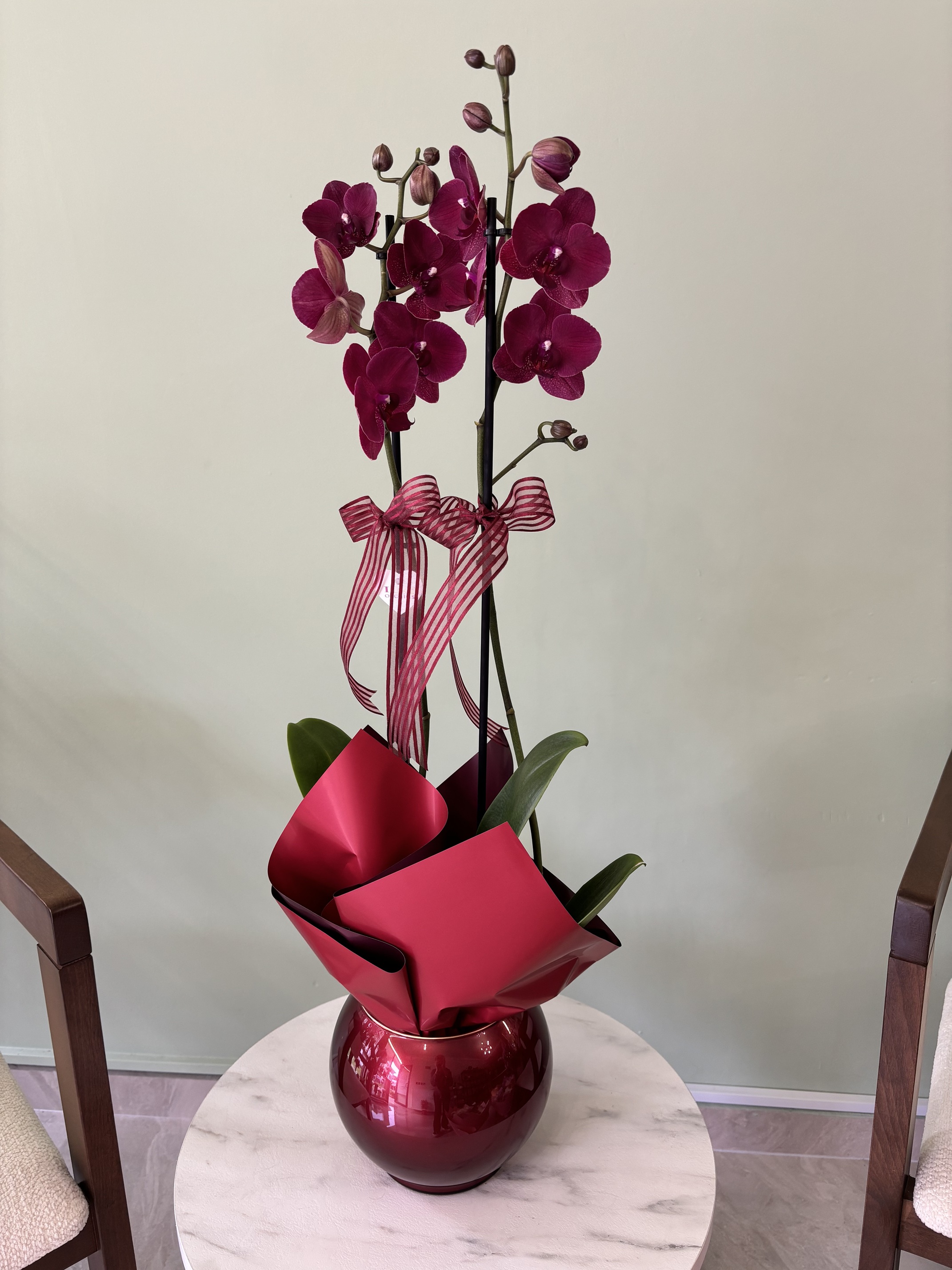 2 Dallı Bordo Orkide