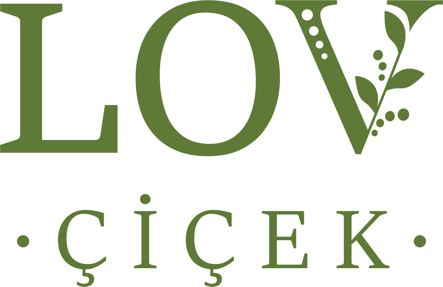 LOV Çiçek Logo